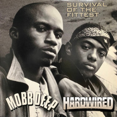 Survival Of The Fittest (Hardwired Remix) *FREE DL*