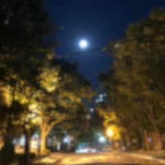 그때의 아름답던(nostalgia)