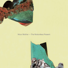 A1 - The Motionless Present