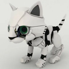 zouneis en oo syöny midii sanon oukei