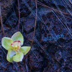 The Smell of Flowers
