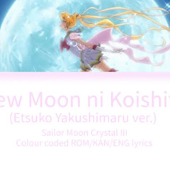Sailor Moon Crystal ｜｜｜ - New Moon Ni Koishite
