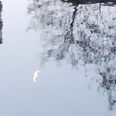 k451 - just in case the world ends tonight pt.2