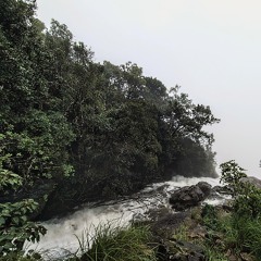 Bandaje