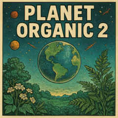 Planet Organic 2