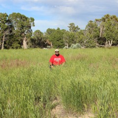 average (prod. by level)