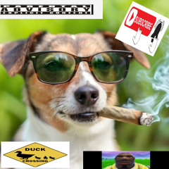 song to fall asleep to by rat