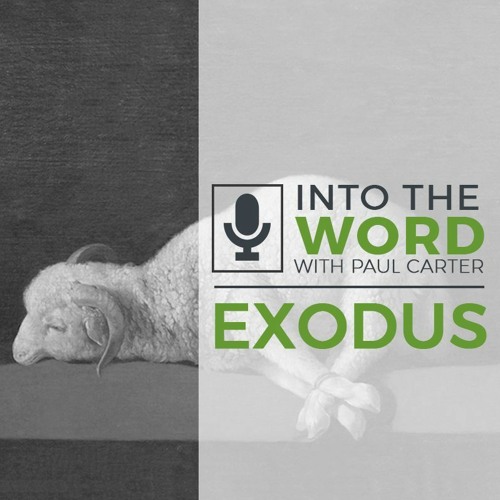 Listen to 2025 exodus 6