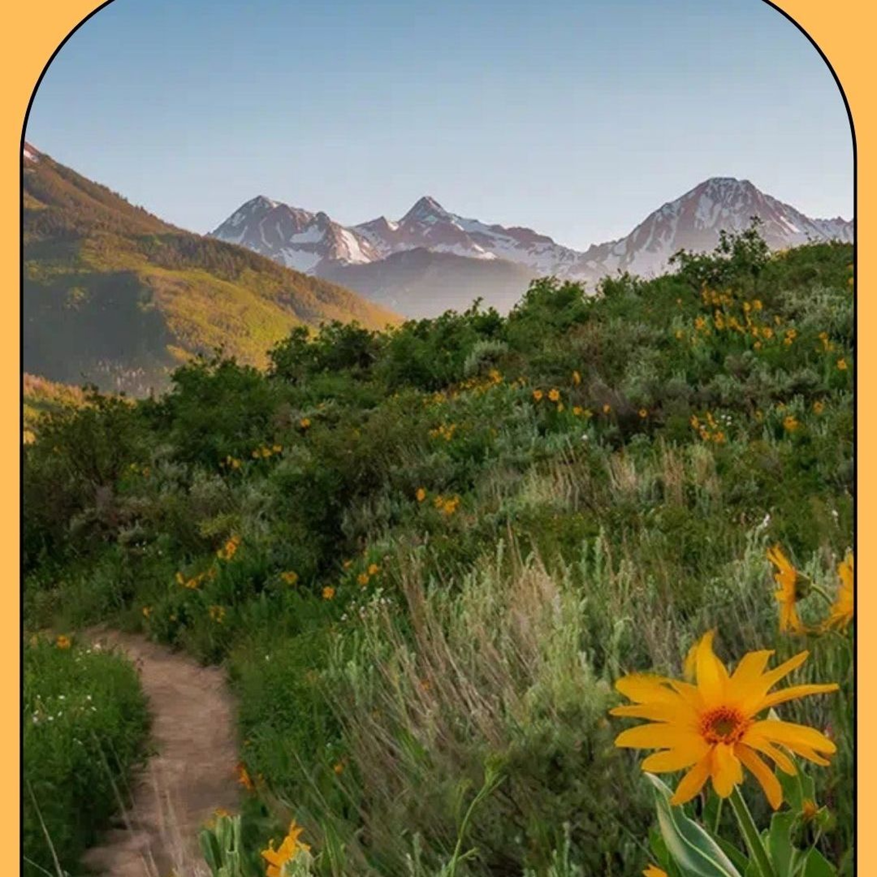 UCC Longmont Sermons