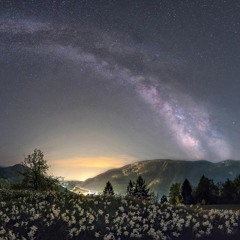 Ashot Danielyan - Angelic Soul