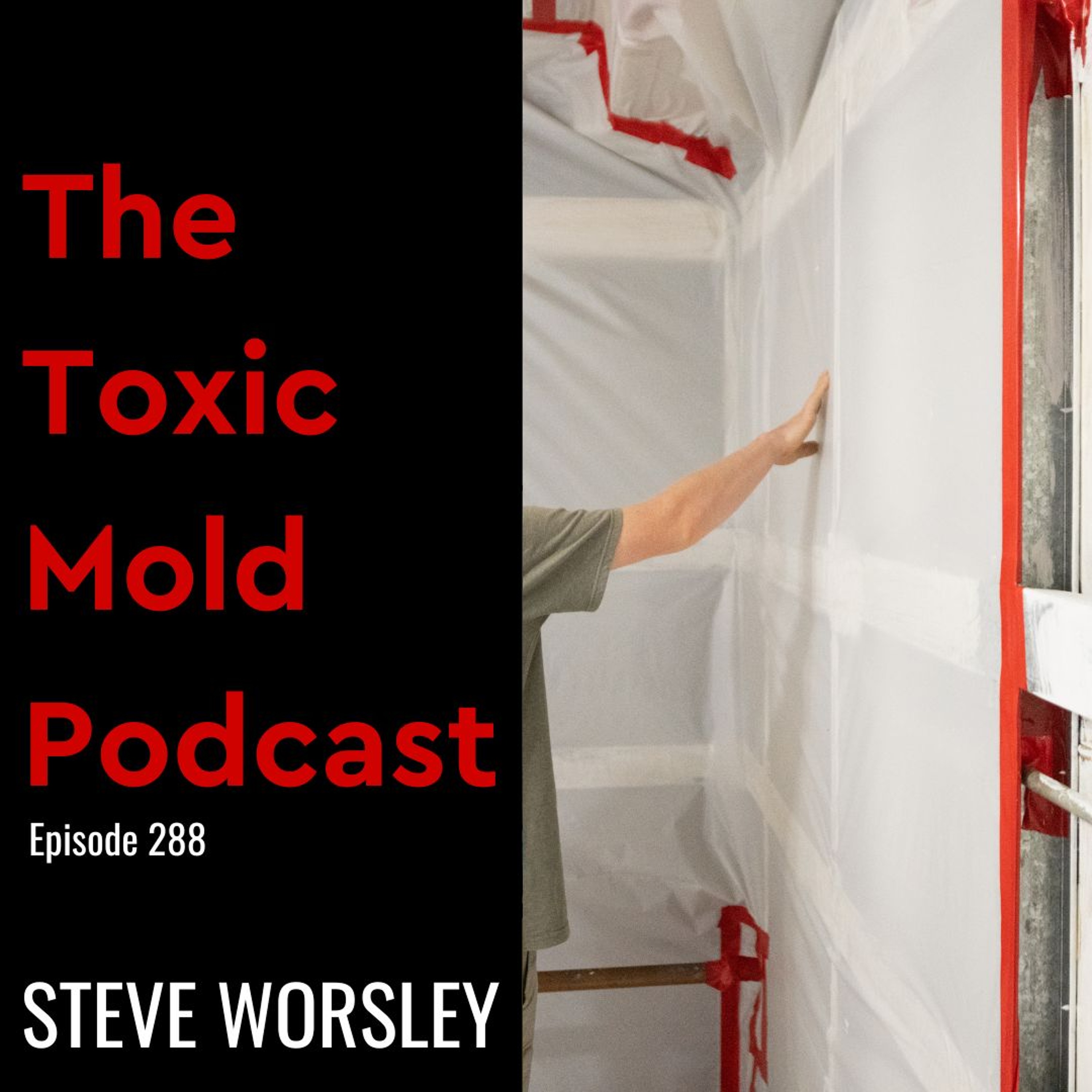 The Toxic Mold Podcast