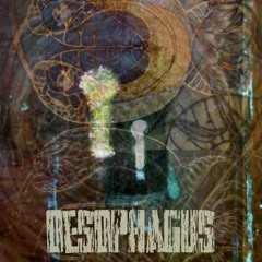 Oesophagus