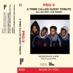 A TRIBE CALLED QUEST TRIBUTE