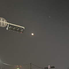 나아지지 않는 날 데리고 산다는 건