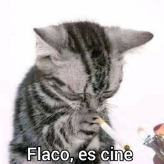 LA LLAMAN SALVAJE LOOP REMIX