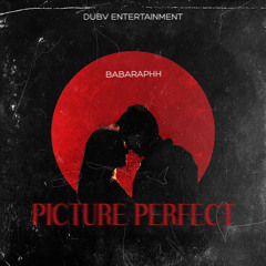 PICTURE PERFECT (COVER)