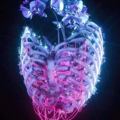 Starship+++1mollpills