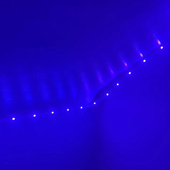 Purple LED Lights (Snippet) [prod. 1pepreme]