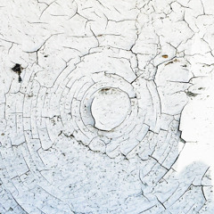 Revshark - Streetwear