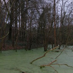 find me (with elvie)