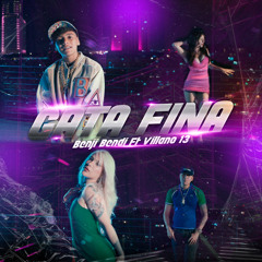 Gata Fina (feat. Villano 13)