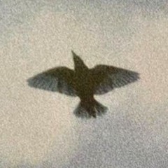 Nuit d'Orage (prod. appa)