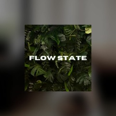 FLOW STATE