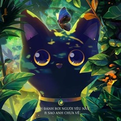 Sing Me To Sleep Renix TikTok - VuHuynh x TPhong Remix
