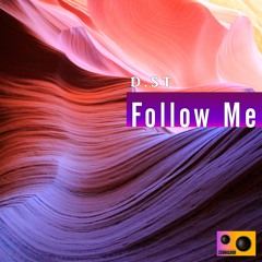 D.ST - Follow Me (Original Mix)