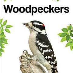 [FREE] KINDLE 📑 Woodpeckers (Backyard Bird Feeding Guides) by  Stan Tekiela KINDLE P