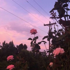 - Bae Kajima.lofi-