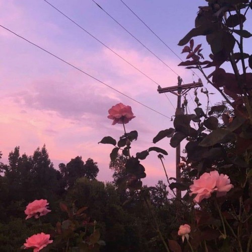 - Bae Kajima.lofi-