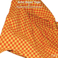 Echo dieser Tage: Teil II "Nichtwiederaufnahme"