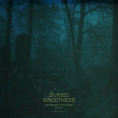 altered sigh & nightquest - buried sweetness (sped-up)