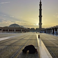 خواتيم سورة الزمر بتلاوة تصويرية تعيش بها مع الآيات | قيام رمضان الشيخ إسلام الزلاط