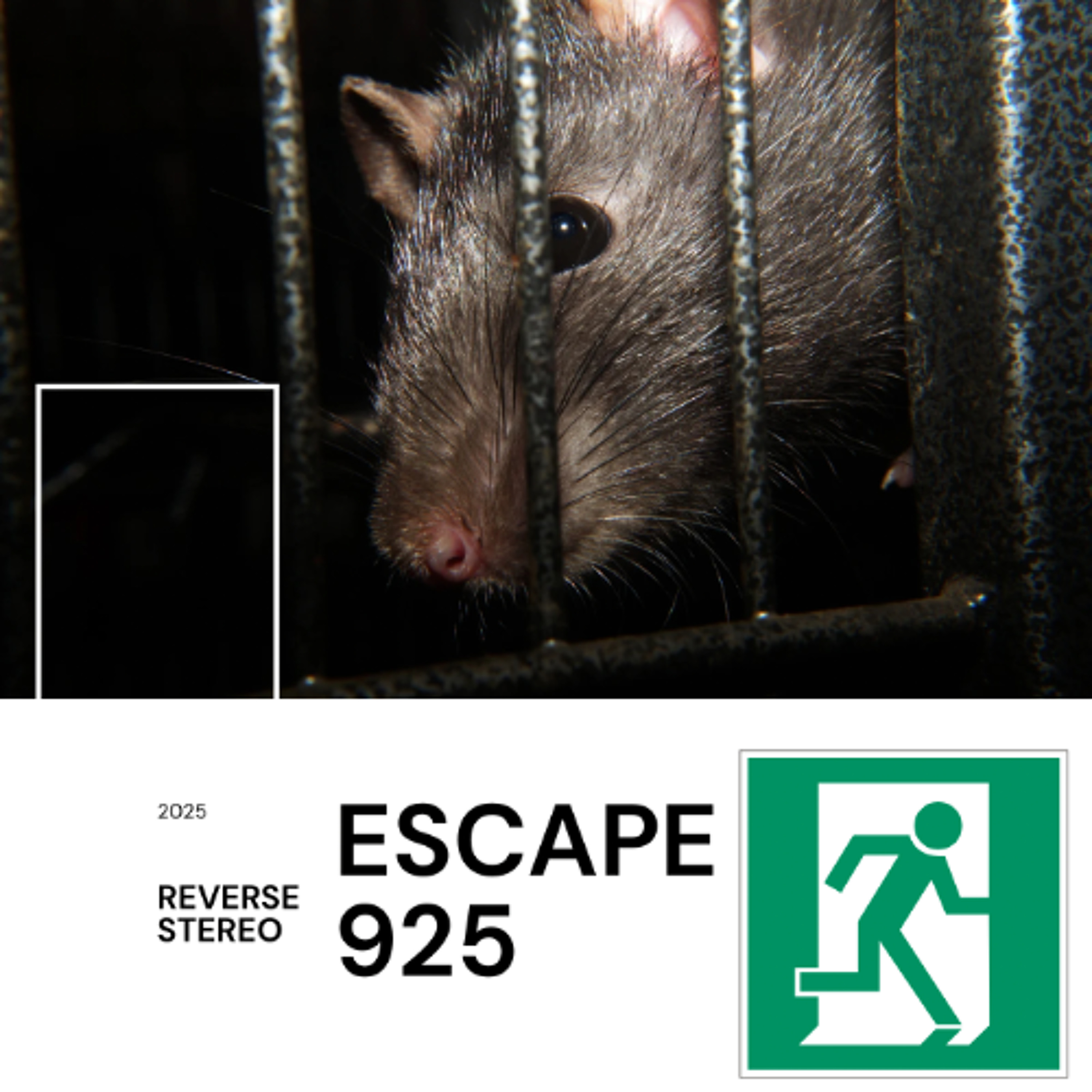 Escape 925 (Da Rat Race) episode artwork