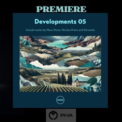 PREMIERE Nicolas Prieto - Borealis (Original Mix)  [Traful]