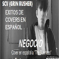 Negocio (cover a "The Business" de Tiesto)