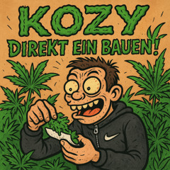 KOZY - Direkt ein bauen!