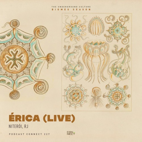 Érica (Live) @ Podcast Connect #227 - Niterói, RJ