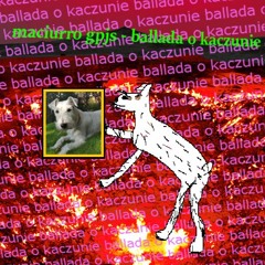 maciurro gpjs - ballada o kaczunie