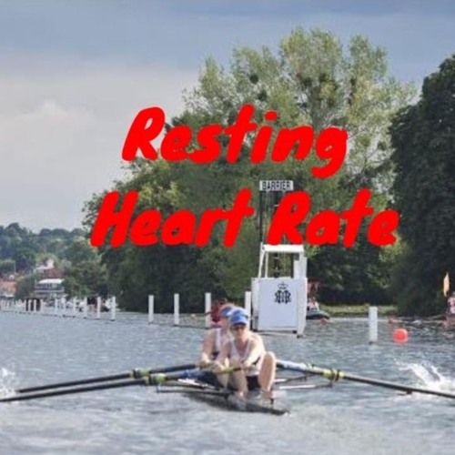 Heart rate rowing sale