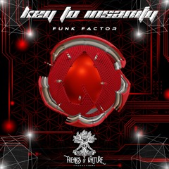 08. Key To Insaniity - Funk Factor
