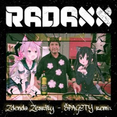 Zdenda Zesraty - Špagety (RadaXX remix)