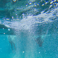 The Last Phone Call (The West Green Quartet Rework)