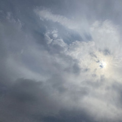 December 24th Freestyle (2024)