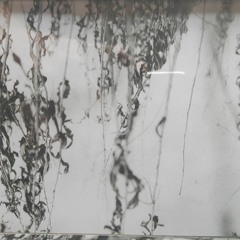 MOVINGWEEDS