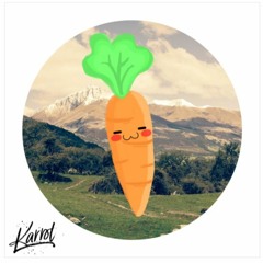 "my journey is no longer lonely because of your company" - Karrot ( cover by Karrot )