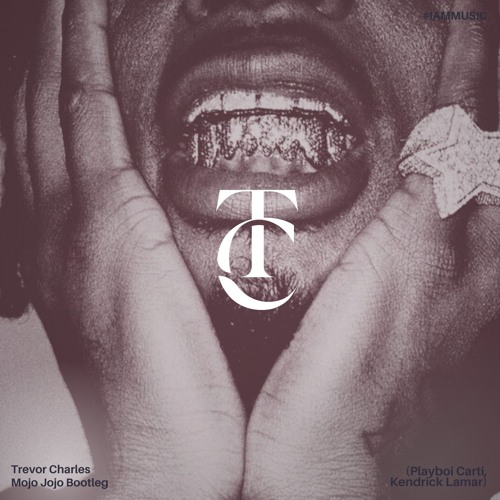 Playboi Carti - MOJO JOJO (Trevor Charles Bootleg)