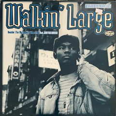 Walkin' Large Feat. Jeru The Damaja - When I Flow